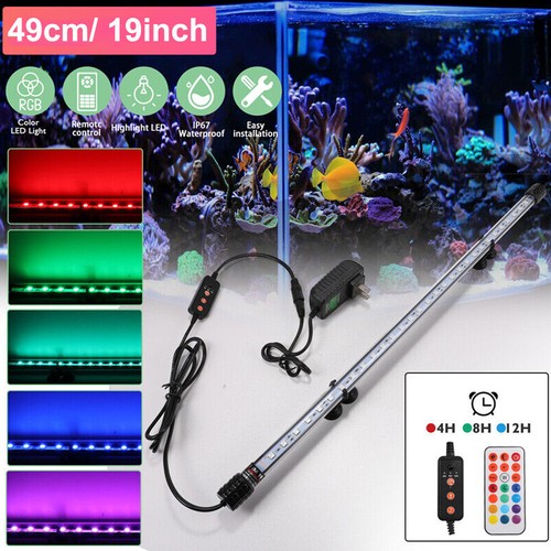 Aquarium underwater fish tank - underwater,